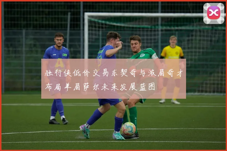 独行侠低价交易东契奇与浓眉奇才布局羊眉萨尔未来发展蓝图